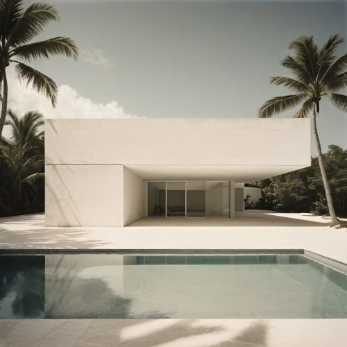 beach house,tropical house,pool house,dunes house,beachhouse,mid century house,luxury property,florida home,modern house,mid century modern,modern architecture,holiday villa,exposed concrete,white room,contemporary,summer house,concrete,miami,infinity swimming pool,swimming pool