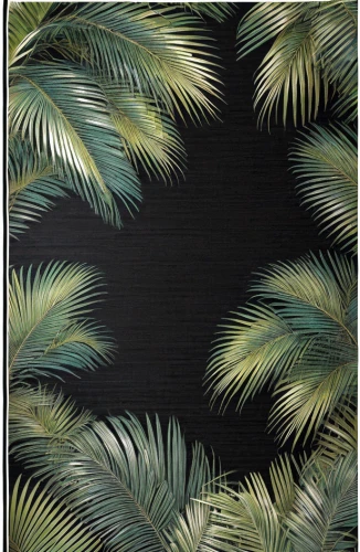 palm field,tropical leaf pattern,palm leaves,cycad,palm fronds,palm branches,palm forest,palm pasture,wine palm,royal palms,fan palm,palm leaf,palm garden,palms,tropical leaf,coconut palms,date palms,coconut palm tree,two palms,coconut leaf