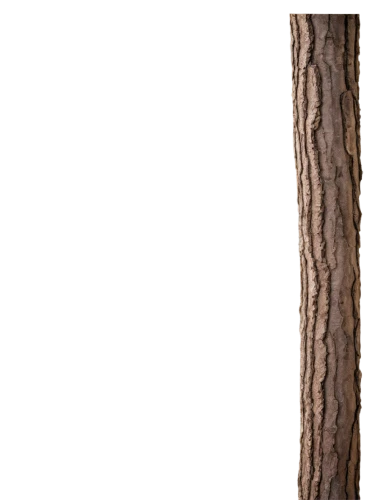 wooden pole,birch tree background,wood background,wooden background,birch tree illustration,wood daisy background,western yellow pine,siberian elm,birch trunk,tree slice,shortstraw pine,wooden figure,hokka tree,shortleaf black spruce,knotty pine,californian white oak,american pitch pine,ornamental wood,american larch,dry branch,Photography,Documentary Photography,Documentary Photography 09