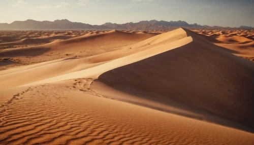 libyan desert,desert desert landscape,sahara desert,desert landscape,dubai desert,admer dune,capture desert,merzouga,desertification,sahara,the desert,wadi rum,arid landscape,gobi desert,desert background,desert,sand paths,namib,argentina desert,crescent dunes,Photography,General,Cinematic