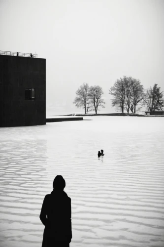 boy and dog,girl with dog,dog in the water,stieglitz,black landscape,ritriver and the cat,monochrome photography,lago grey,isolated,walk on water,blackandwhitephotography,gray-scale,klaus rinke's time field,man at the sea,andreas cross,solitude,reservoir,the man in the water,prora,photographing children,Illustration,Black and White,Black and White 33