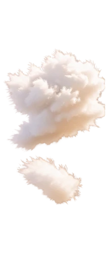 cloud mushroom,cloud shape frame,cloud image,cloud shape,cloud formation,single cloud,clouds,cloudscape,cloud play,cloud bank,cloud,cumulus cloud,partly cloudy,paper clouds,clouds - sky,cloudiness,about clouds,swelling clouds,little clouds,sky clouds,Conceptual Art,Daily,Daily 02