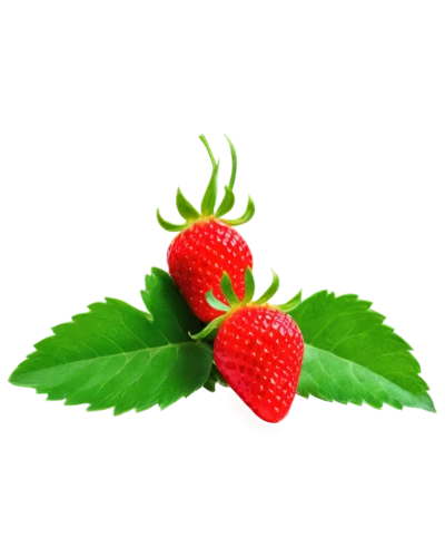 strawberry plant,raspberry leaf,alpine strawberry,strawberry ripe,west indian raspberry,west indian raspberry ,native raspberry,mock strawberry,strawberry,strawberry tree,red strawberry,strawberry flower,strawberries,virginia strawberry,berry fruit,thimbleberry,cannabidiol,mollberry,nannyberry,salmonberry,Conceptual Art,Sci-Fi,Sci-Fi 02