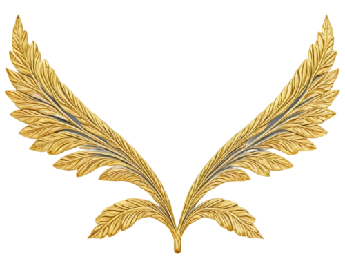 laurel wreath,military rank,gold ribbon,prince of wales feathers,emblem,national emblem,female symbol,zoroastrian novruz,award ribbon,gold spangle,nz badge,pioneer badge,gold art deco border,sr badge,dove of peace,symbol,wing,nepal rs badge,and symbol,angel wing,Photography,Black and white photography,Black and White Photography 13