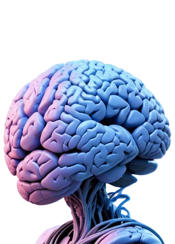 cerebrum,human brain,brain structure,brain icon,brain,brainy,acetylcholine,cognitive psychology,neurath,magnetic resonance imaging,neurology,neural,brainstorm,neural pathways,computed tomography,synapse,bicycle helmet,mindmap,isolated product image,dopamine,Photography,Black and white photography,Black and White Photography 06