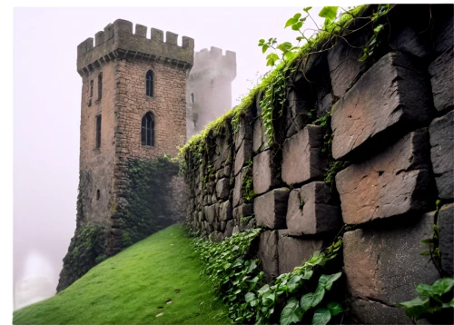 wall,medieval castle,castles,galician castle,castel,ruined castle,castle ruins,aaa,castle of the corvin,citadelle,city walls,ireland,northern ireland,medieval architecture,haunted castle,castle,knight's castle,templar castle,ghost castle,city wall,Illustration,American Style,American Style 15