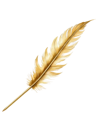 feather,chicken feather,hawk feather,bird feather,feather bristle grass,feather pen,feather jewelry,white feather,spikelets,swan feather,quill,gold spangle,prince of wales feathers,golden leaf,feather headdress,black feather,quills,laurel wreath,palm leaf,feathers,Illustration,Paper based,Paper Based 24