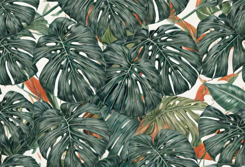 botanical print,tropical leaf pattern,vintage anise green background,monstera,foliage leaves,mandarin leaves,tropical floral background,protea,jungle drum leaves,watercolor leaves,background ivy,foliage,palm lilies,leaves,pine cone pattern,background pattern,palm leaves,seamless pattern,the foliage,gum leaves