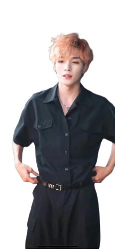 png transparent,gain,transparent image,transparent background,on a transparent background,lotte,hog xiu,ziu,chair png,baozi,junpie,rose png,sujeonggwa,paeonie,baek kimchi,spy visual,kimjongilia,sleeveless shirt,jangdokdae,bird png