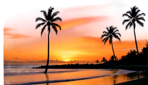 watercolor palm trees,palm tree vector,coconut trees,coconut palms,sunset beach,sunrise beach,palm silhouettes,landscape background,palm tree silhouette,beach landscape,dream beach,palmtrees,beach scenery,coconut palm tree,photo painting,image editing,coconut palm,beautiful beaches,two palms,palm trees,Illustration,Realistic Fantasy,Realistic Fantasy 10