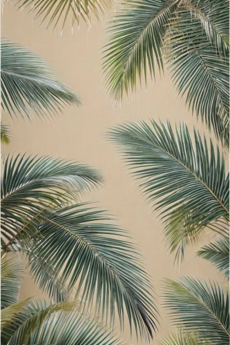 tropical floral background,palm forest,palm field,palm leaves,tropical leaf pattern,palms,palm tree vector,palm branches,palm pasture,palm,palmtree,palmtrees,palm fronds,palm trees,royal palms,date palms,palm tree,wine palm,two palms,pineapple background