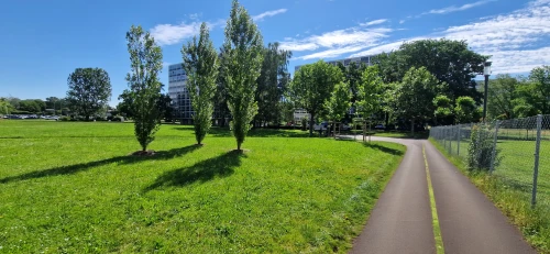 bicycle path,bike path,tree-lined avenue,tree lined lane,tree lined path,bicycle lane,kurpark,municipal park,walk in a park,meadow rues,tram road,avenue,street view,path,green space,urban park,railroad trail,lower-erlenbach,footpath,fanuapark