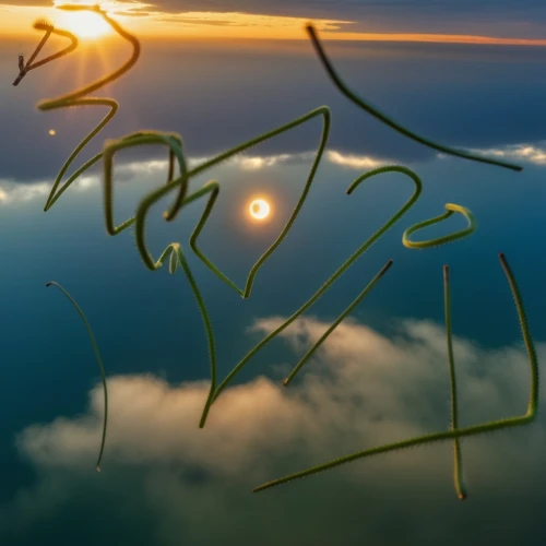 panoramical,sun reflection,contrails,sun,sunrise in the skies,cloud shape frame,sun in the clouds,sky,lens flare,light drawing,sun through the clouds,paraglider sunset,setting sun,paint strokes,virtual landscape,reflection in water,reverse sun,signature,double sun,sun and sea,Photography,General,Realistic
