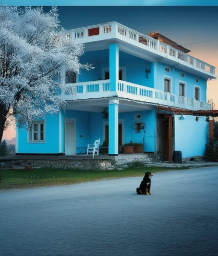 tashkent,srinagar,winter house,hala sultan tekke,cat on a blue background,stray dog on road,erciyes dağı,vipassana,build by mirza golam pir,guesthouse,rishikesh,traditional house,djerba,karakachan dog,lonely house,woman house,holiday villa,salar flats,martyr village,blue jasmine,Photography,Documentary Photography,Documentary Photography 32