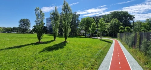 bicycle path,bike path,bicycle lane,tree lined path,qlizabeth olympic park,800 metres,tree lined lane,pathway,footpath,cross-country cycling,kurpark,streetluge,path,tree-lined avenue,urban park,municipal park,cross country cycling,olympic park,tram road,entry path