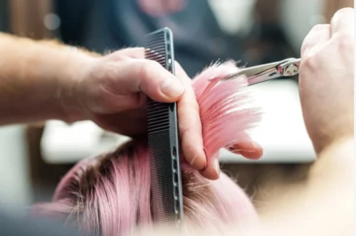 management of hair loss,artificial hair integrations,the long-hair cutter,hairdressing,hair shear,hairdressers,hair coloring,hairstylist,hairdresser,hairstyler,beauty salon,combing,fringed pink,hat manufacture,hair dresser,bristles,barber,shears,personal grooming,hair loss