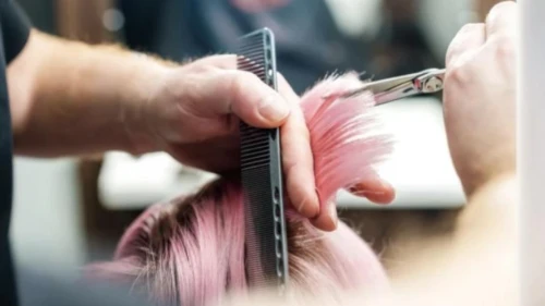 management of hair loss,the long-hair cutter,artificial hair integrations,hairdressing,hair shear,hair coloring,hairstylist,hairdressers,hairdresser,hairstyler,barber,hair loss,beauty salon,hair dresser,hair comb,fringed pink,personal grooming,combing,bristles,establishing a business