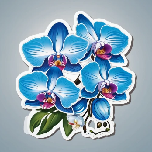 flowers png,phalaenopsis,moth orchid,phalaenopsis equestris,mixed orchid,phalaenopsis sanderiana,orchids,orchid flower,clipart sticker,orchid,orchids of the philippines,pogonia,cartoon flowers,blue thunbergia,blue passion flower butterflies,flower illustrative,floral greeting card,blue flowers,flower illustration,wild orchid,Unique,Design,Sticker