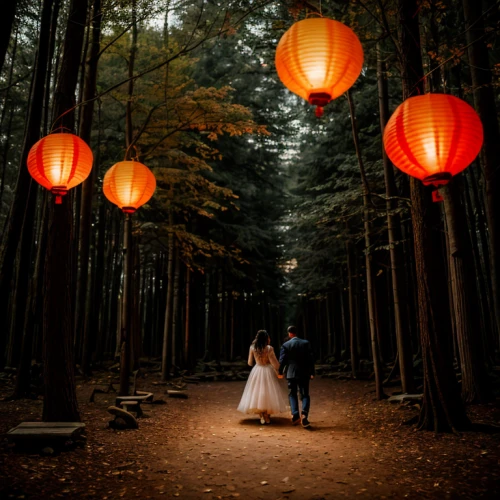 japanese paper lanterns,fairy lanterns,lanterns,chinese lanterns,hanging lantern,angel lanterns,chinese lantern,wedding photography,lantern string,illuminated lantern,vintage couple silhouette,japanese lantern,wedding photographer,wedding couple,vintage lantern,enchanted forest,wedding photo,golden weddings,lantern,walking down the aisle