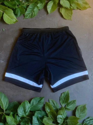 rugby short,cycling shorts,active shorts,swim brief,shorts,bermuda shorts,baby bloomers,underwear,boxers,calves white,product photos,underpants,bicycle clothing,active pants,two piece swimwear,jogger,green sail black,hockey pants,swimsuit bottom,summer items