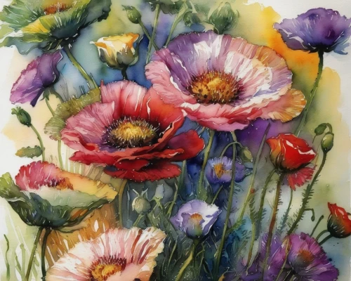 watercolor flowers,watercolour flowers,flower painting,peonies,corn poppies,peony bouquet,poppies,watercolor flower,watercolour flower,watercolor roses,floral poppy,poppy flowers,peony,lisianthus,watercolor roses and basket,oriental poppy,floral composition,watercolor floral background,anemones,watercolor painting,Illustration,Paper based,Paper Based 03