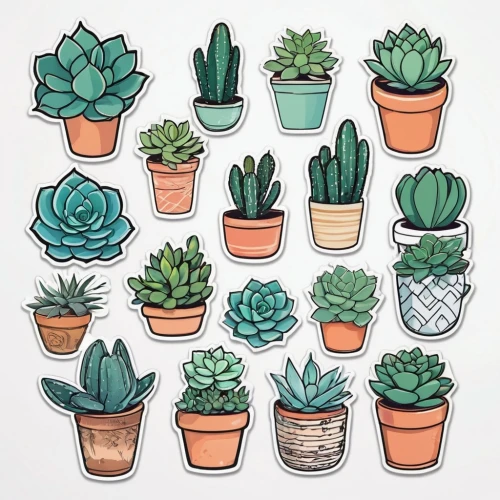 plants in pots,succulents,potted plants,leaf icons,little plants,cacti,cactus digital background,cactus line art,small plants,house plants,succulent plant,plant pots,plants,small bunch,potting,plant community,icon set,garden plants,assortment,desert plants,Unique,Design,Sticker