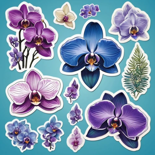 flowers png,orchids,mixed orchid,phalaenopsis,cartoon flowers,violet flowers,pansies,scrapbook flowers,illustration of the flowers,violets,purple flowers,orchids of the philippines,ornamental flowers,retro flowers,flower illustration,flower illustrative,irises,violet family,lei flowers,orchid,Unique,Design,Sticker