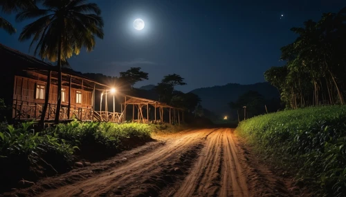 night photography,night scene,night indonesia,night photograph,night image,moonlit night,vietnam,kerala,laos,night photo,chiang mai,sri lanka,at night,myanmar,night view,cambodia,light trail,photo session at night,light of night,kohphangan,Photography,General,Realistic