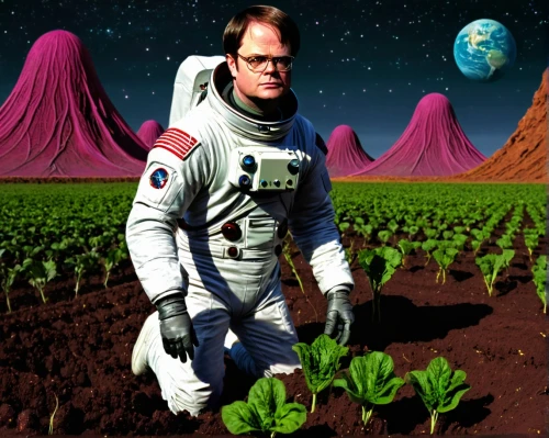 fertilizer,beets,beetzaun,shuttlecocks,graham flour,mission to mars,red beets,spacefill,gremolata,emperor of space,terraforming,potato field,amaranth,herfstanemoon,enrico caruso,chia,dahl,free land-rose,dad grass,fertilize,Conceptual Art,Sci-Fi,Sci-Fi 20