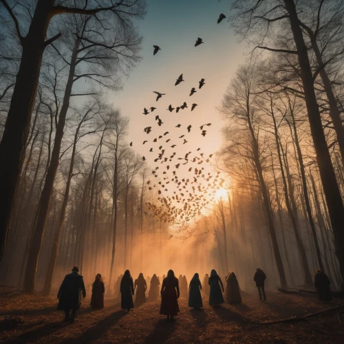 murder of crows,flock of birds,migration,celebration of witches,bird migration,a flock of pigeons,flock home,migrate,the pied piper of hamelin,mumuration,the birds,flock,crows,people in nature,photomanipulation,purgatory,dance of death,birds in flight,pilgrims,wild birds,Photography,General,Cinematic