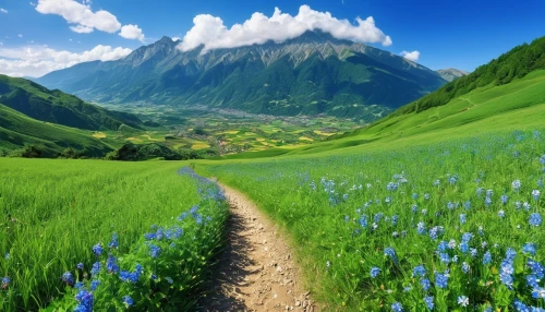 the valley of flowers,alpine meadow,mountain meadow,meadow landscape,landscape background,background view nature,mountainous landscape,beautiful landscape,mountain landscape,japanese alps,alpine meadows,nature landscape,aaa,mountain scene,the natural scenery,natural scenery,hiking path,mountain pasture,alpine pastures,flower field,Photography,General,Realistic