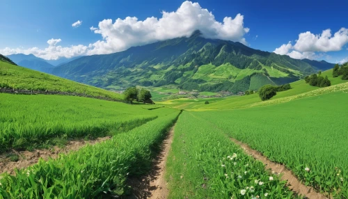 green landscape,aaa,landscape background,meadow landscape,mountainous landscape,background view nature,the valley of flowers,green fields,nature landscape,beautiful landscape,rice fields,mountain landscape,rice field,alpine pastures,the rice field,natural scenery,mountain meadow,green meadow,yamada's rice fields,ricefield,Photography,General,Realistic