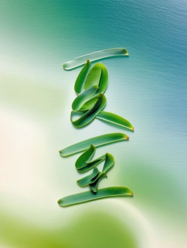 water spinach,algae,wakame,green snake,i ching,green algae,green wallpaper,wheatgrass,isolated product image,chloroplasts,green soybeans,tendril,edamame,stamen,water lily leaf,smooth greensnake,wasabi,green background,green leaf,junshan yinzhen,Illustration,Japanese style,Japanese Style 17