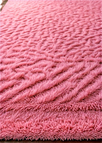 fringed pink,pink grass,rug pad,pink large,coral pink sand dunes,clove pink,rug,textile,carpet,pink beach,fabric texture,woven fabric,sheep wool,dishcloth,amaranth grain,car roof,thatch roofed hose,kimono fabric,basket fibers,flower blanket,Conceptual Art,Fantasy,Fantasy 27
