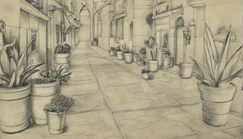 potted plants,cactus line art,pencil drawings,pencil and paper,graphite,pencil drawing,botanical square frame,sidewalk,line drawing,old linden alley,the cobbled streets,alleyway,charcoal drawing,vintage drawing,alley,pencil lines,kraft paper,cacti,chalk drawing,plants,Design Sketch,Design Sketch,Pencil