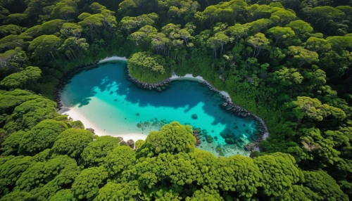 andaman sea,tropical island,blue lagoon,philippines,atoll from above,underwater oasis,island suspended,emerald sea,love earth,raja ampat,flying island,green island,tropical greens,mangroves,delight island,loveourplanet,java island,uninhabited island,tropical sea,samoa,Photography,General,Realistic