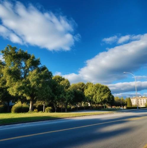 tree-lined avenue,tree lined lane,city highway,coastal road,the boulevard arjaan,national highway,bicycle path,chestnut avenue,gregory highway,road surface,country road,landscape background,roadway,hume highway,empty road,tram road,bike path,racing road,winding roads,evergreen trees,Photography,General,Realistic