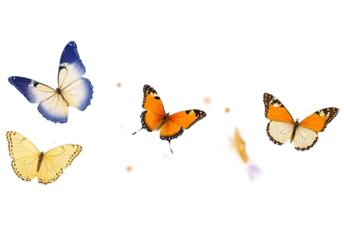 butterfly background,butterfly vector,butterfly clip art,butterflies,euphydryas,moths and butterflies,dryas julia,hesperia (butterfly),butterfly isolated,isolated butterfly,chasing butterflies,callophrys,rainbow butterflies,butterflay,butterfly effect,lycaena phlaeas,blue butterfly background,lycaena,melitaea,coenonympha tullia,Illustration,Japanese style,Japanese Style 10