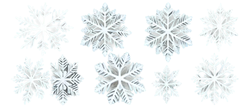 snowflake background,snow trees,christmas snowflake banner,ice flowers,fir tree decorations,flowers png,snow flake,white snowflake,summer snowflake,snowflakes,hoarfrost,blue snowflake,spines,snow tree,christmas tree pattern,branched asphodel,fir needles,snowflake,flannel flower,heracleum (plant),Illustration,Children,Children 03