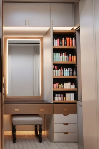 walk-in closet,bathroom cabinet,cosmetics counter,apothecary,under-cabinet lighting,storage cabinet,bookcase,beauty room,shoe cabinet,bookshelves,pharmacy,pantry,cupboard,cabinetry,armoire,shower bar,bookshelf,dressing table,luxury bathroom,compartments