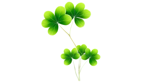 medium clover,4-leaf clover,clovers,five-leaf clover,narrow clover,four-leaf clover,long ahriger clover,shamrock balloon,clover leaves,redwood sorrel,three leaf clover,4 leaf clover,shamrock,four leaf clover,a four leaf clover,shamrocks,wood-sorrel,lucky clover,patrol,oxalis,Illustration,Realistic Fantasy,Realistic Fantasy 25