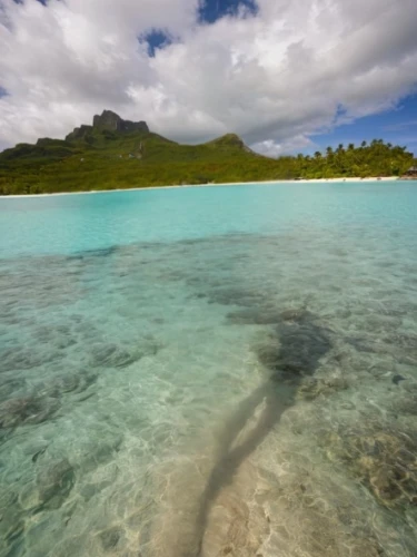 moorea,french polynesia,mauritius,tahiti,cook islands,bora bora,bora-bora,fiji,samoa,kei islands,seychelles scr,seychelles,cayo largo,oahu,polynesia,widi islands,duiker island,shallows,caribbean sea,great barrier reef