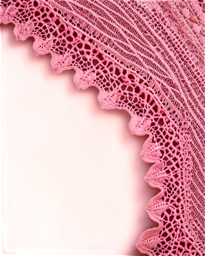 lace border,paper lace,lace borders,mandelbulb,cockscomb,eyelet,doily,royal lace,connective tissue,lamella,gradient mesh,anellini,polyp,follicle,membrane,fringed pink,scalloped,pink paper,cochineal,pink vector,Illustration,Retro,Retro 06
