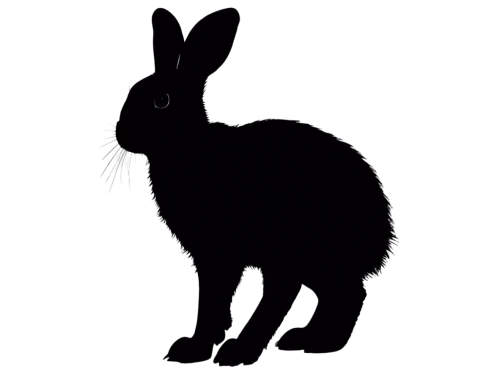 european rabbit,lepus europaeus,rabbit,domestic rabbit,jack rabbit,brown rabbit,gray hare,steppe hare,jackrabbit,american snapshot'hare,rebbit,wild rabbit,hare,dwarf rabbit,black tailed jackrabbit,leveret,wood rabbit,white rabbit,mouse silhouette,rabbits,Illustration,Realistic Fantasy,Realistic Fantasy 04