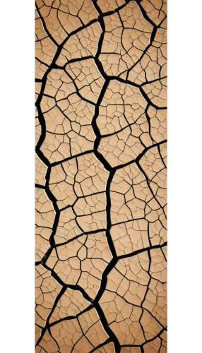 arid landscape,arid,dry lake,desertification,scorched earth,dry leaf,soil erosion,arid land,clay floor,ceramic floor tile,mesquite flats,dried up,salt pan,dry leaves,skin texture,crocodile skin,ceramic tile,seamless texture,floor tiles,dry grass,Illustration,Vector,Vector 01