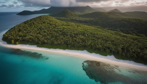 fiji,raja ampat,seychelles,french polynesia,southern island,moorea,north island,andaman sea,samoa,philippines,kei islands,tahiti,cook islands,the caribbean,south pacific,great barrier reef,caribbean,south island,lembeh,deserted island,Photography,General,Cinematic