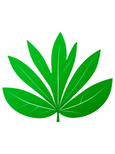 mape leaf,green leaf,growth icon,tropical leaf,cannabidiol,custody leaf,patrol,jungle leaf,four-leaf,fan leaf,broadleaf,cannabinol,lotus leaf,oil-related plant,tropical leaf pattern,leaf icons,rank plant,leaf background,fern leaf,coconut leaf,Illustration,Vector,Vector 10