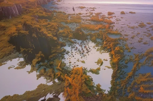 acid lake,lava river,dead vlei,tide pool,floating islands,algae,cliffs ocean,mushroom island,underwater landscape,archipelago,erosion,pacific coastline,coral reef,virtual landscape,long reef,uninhabited island,ocean floor,ocean underwater,volcanic field,mandelbulb,Illustration,Paper based,Paper Based 04