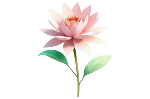 lotus png,flowers png,lotus ffflower,lotus flower,flower illustrative,dahlia pink,lotus blossom,flower illustration,lotus with hands,sacred lotus,flower background,crown chakra flower,minimalist flowers,lotus flowers,rose flower illustration,paper flower background,floral mockup,lotus,lotus art drawing,lotus leaf,Unique,3D,Low Poly