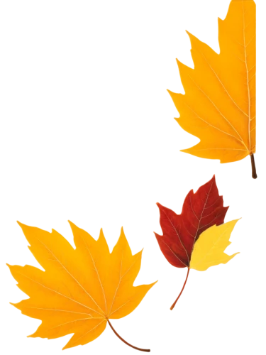 leaf background,maple leave,yellow maple leaf,autumn leaf paper,fall leaf border,maple leaf,red maple leaf,maple leaf red,maple foliage,fall leaf,leaf border,autumn icon,colored leaves,leaf rectangle,leaf icons,autumnal leaves,autumn leaf,maple leaves,fallen leaves,golden leaf,Art,Artistic Painting,Artistic Painting 39